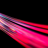 Red and pink optical fibres.