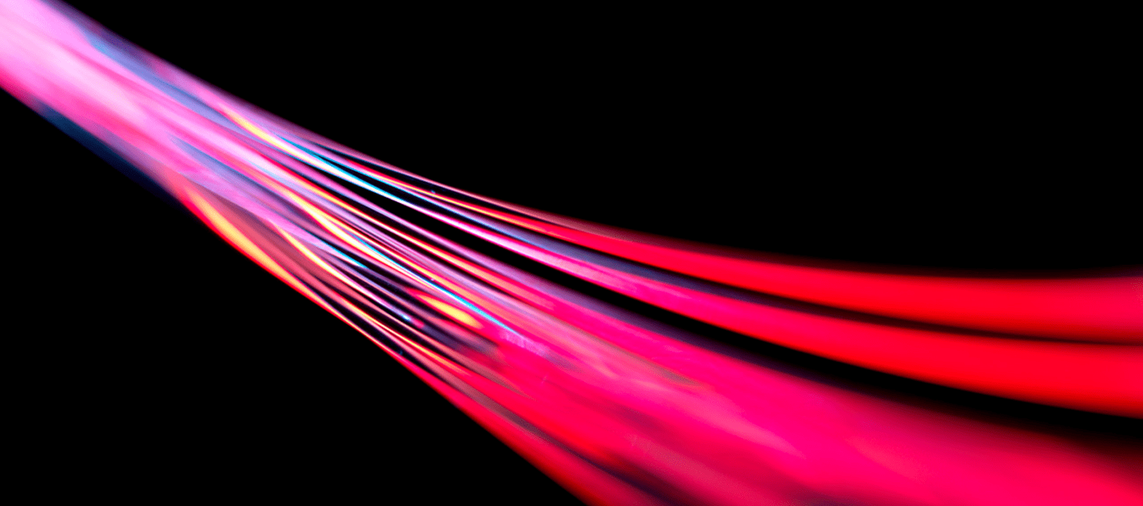 Red and pink optical fibres.